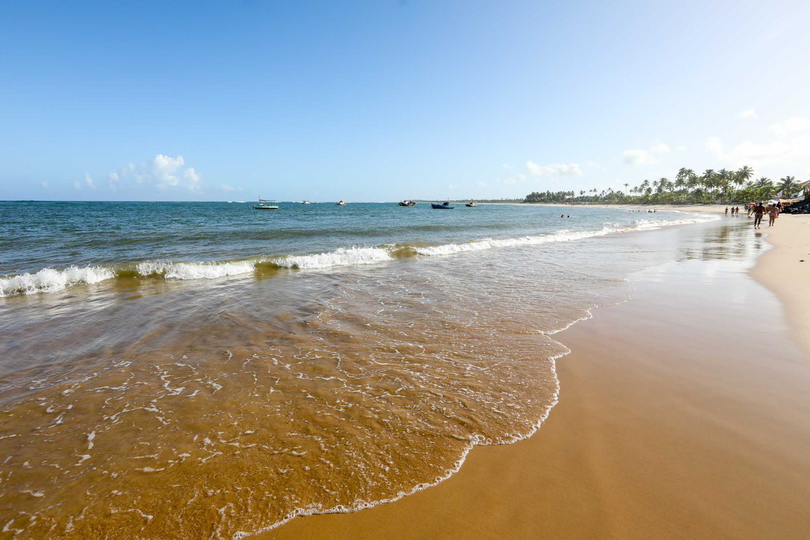Iniciativa ambiental na praia de Guarajuba acontece neste sábado