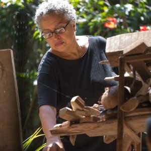 Exposição “Olga Gómez – Alegria da Criação” acontece no Museu de Arte da Bahia, a partir do dia 14 de novembro